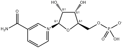 β-nikotinamidmononukleotid