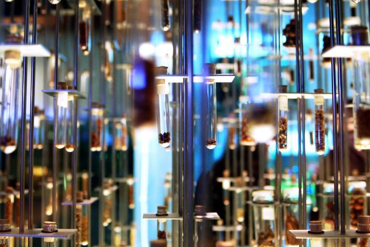 Allt du behöver veta om Active Pharmaceutical Ingredients (API In Pharma)