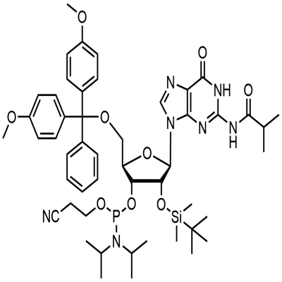5'-O-(4,4-dimetoxitrityl)-2'-O-[(tert-butyl)dimetylsilyl]-N-isobutyrylguanosin-3'-(2-cyanoetyl-N,N-diisopropyl)fosforamidit