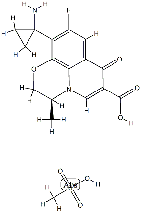 Pazufloxacin för bin